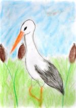 Mišková Katarína.jpg